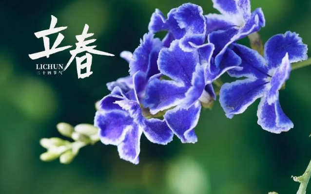2023年立春躲春避太岁时间是几点到几点 2023年躲春的具体时间是几点几分-小麦知识
