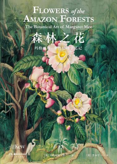 森林之花-小麦知识