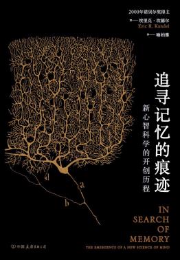 追寻记忆的痕迹-小麦知识