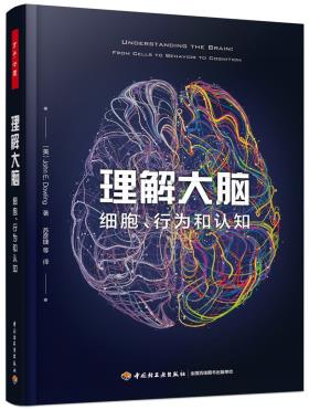 理解大脑-小麦知识