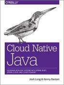 Cloud Native Java-小麦知识