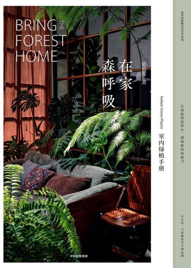 在家森呼吸：室内绿植手册-小麦知识