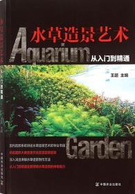 水草造景艺术-小麦知识