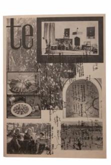 te magazine no.1 The Lost Society-小麦知识