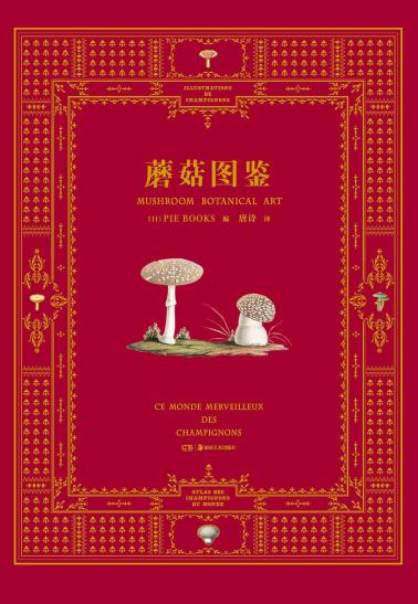 蘑菇图鉴-小麦知识