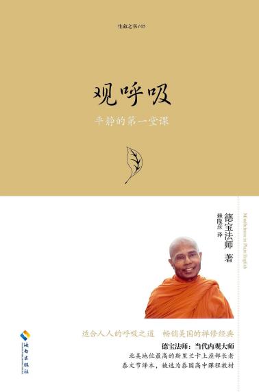 观呼吸-小麦知识