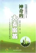 神奇的大麦嫩苗-小麦知识