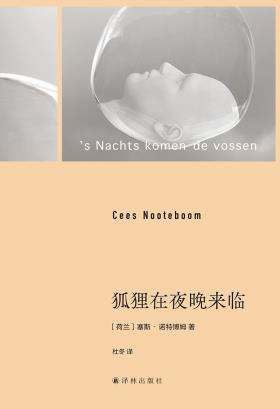 狐狸在夜晚来临-小麦知识