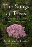 The Songs of Trees-小麦知识