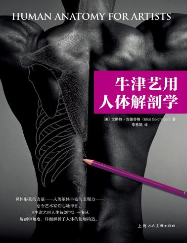 牛津艺用人体解剖学-小麦知识