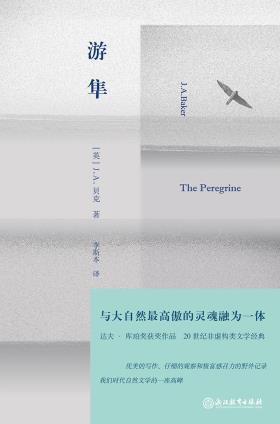 游隼-小麦知识