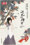 记忆的碎片-小麦知识