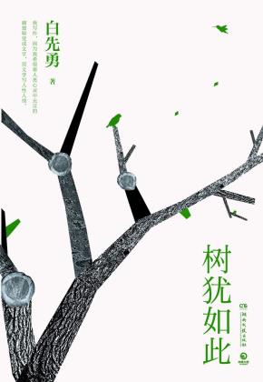 树犹如此-小麦知识
