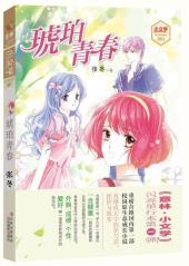 琥珀青春-小麦知识