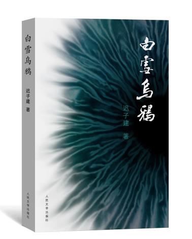 白雪乌鸦-小麦知识