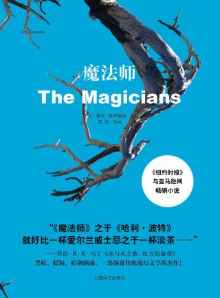 魔法师-小麦知识