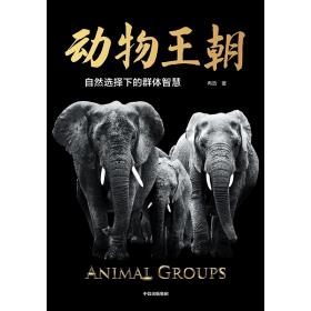 动物王朝-小麦知识