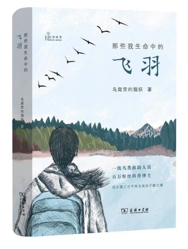 那些我生命中的飞羽-小麦知识