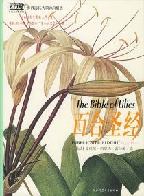 百合圣经-小麦知识