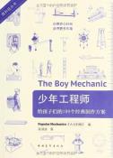 少年工程师：给孩子们的189个经典制作方案-小麦知识