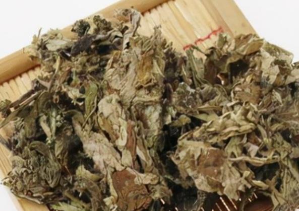 如何用艾草熏房间 艾条熏房间人在可以吗-小麦知识
