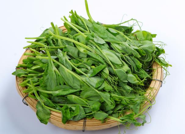 豌豆苗怎么做好吃 豌豆苗需要焯水吗-小麦知识