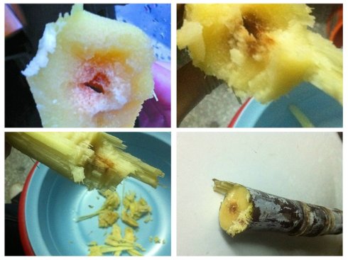 一天吃一根甘蔗算多吗 甘蔗吃多了有什么危害-小麦知识