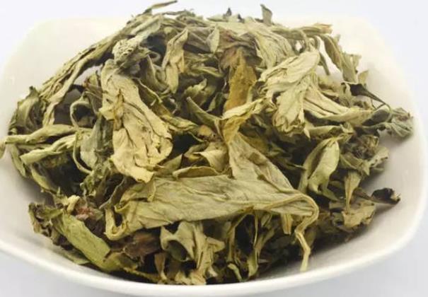 用艾草泡脚可以去除脚气吗 含香气,热水煎煮杀菌灭菌-小麦知识