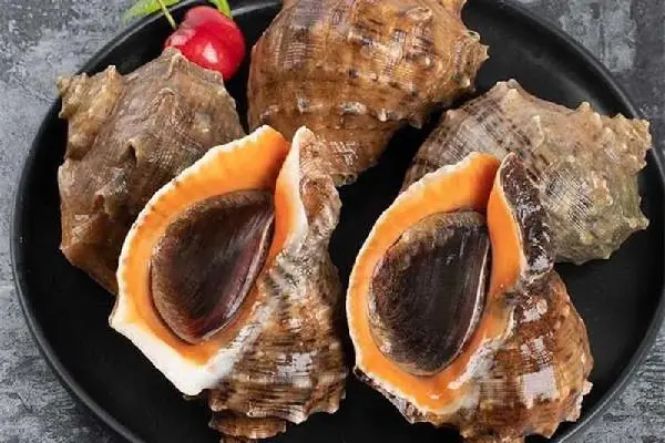 蒸海螺出现粘液怎么回事 怎么去除海螺的粘液-小麦知识
