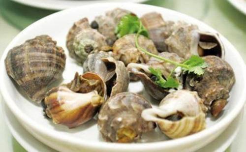 蒸海螺冷水蒸还是上汽蒸 蒸海螺需要多长时间-小麦知识