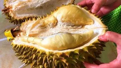 冻榴莲怎么打开外壳没裂缝 冻榴莲营养会流失吗-小麦知识