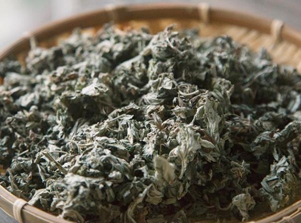 房间里熏艾草后可以马上睡觉吗 房间里熏艾草有哪些危害-小麦知识