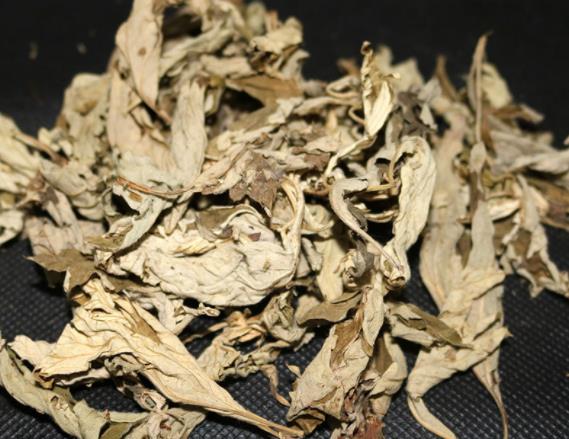 经期可以用艾叶泡脚吗 易造成经量增加经期延长-小麦知识
