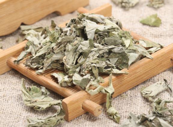 可以天天用艾条熏房间吗 用艾条熏房间注意什么-小麦知识
