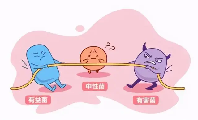 霉菌性阴炎太阳晒能杀死吗 霉菌算是严重的妇科病吗-小麦知识