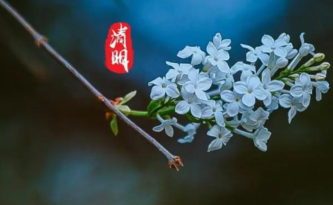 2023年清明什么时候去墓地人少 清明去墓地什么时间比较好-小麦知识