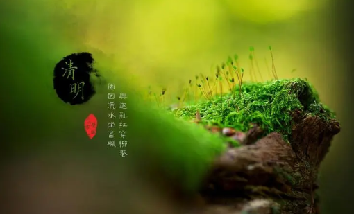 2023年清明什么时候去墓地人少 清明去墓地什么时间比较好-小麦知识