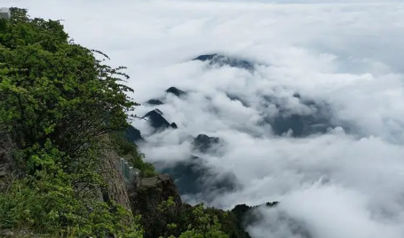 2023黄山阴天能看到云海吗 黄山云海出现在什么天气情况-小麦知识