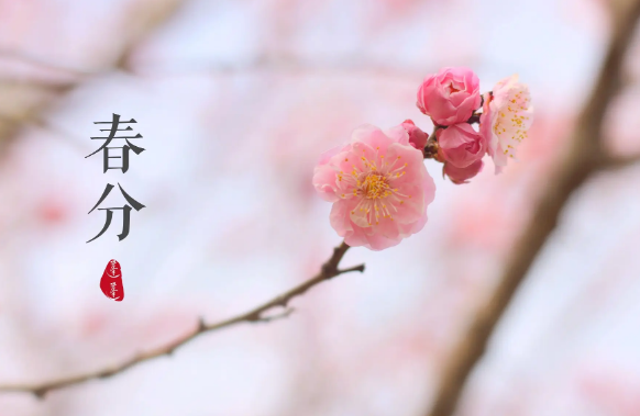 2023春分后还会有倒春寒吗 2023春分后冷空气还强吗-小麦知识