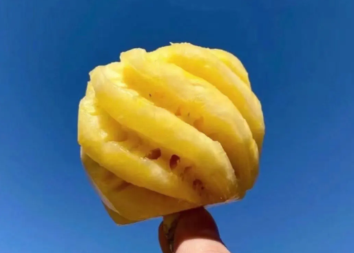 小菠萝是什么品种的菠萝 小菠萝是哪里的特产-小麦知识