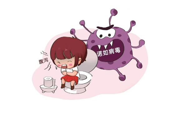 诺如病毒用84好还是次氯酸好 诺如病毒用什么消毒液消毒-小麦知识