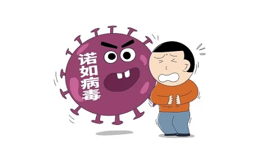 诺如病毒是新冠病毒的变异吗 诺如病毒是新冠病毒的一种吗-小麦知识