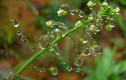 2023苏州梅雨季节是哪几个月 苏州梅雨季节哪些是要注意的-小麦知识
