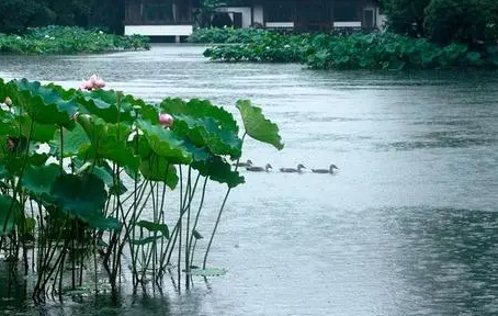 2023年苏州什么时候入梅 苏州梅雨季节持续多久-小麦知识