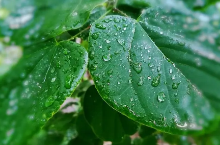 2023年苏州三月份下雨多吗 2023年苏州三月份的天气怎么样-小麦知识