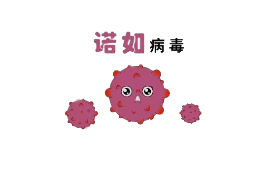 诺如病毒高发期是哪个季节 诺如病毒高发期一般是几月份-小麦知识
