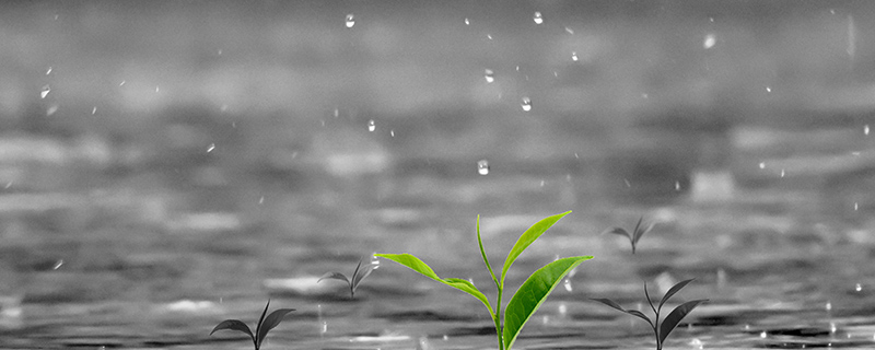 雨的种类 雨的好处哪些-小麦知识
