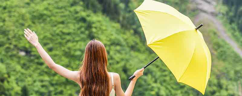 遮阳伞可以遮雨吗 遮阳伞的主要用途-小麦知识