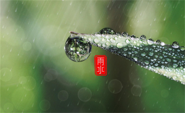 雨水节气是什么时候 吃什么食物可以养生-小麦知识