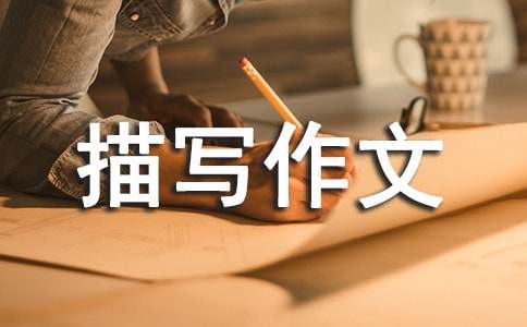 秋雨的描写作文经典范文-小麦知识